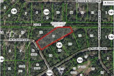 11991 W Flaxen Drive, Crystal River, FL 34428 - Photo 5