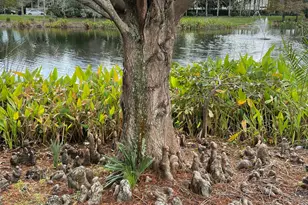 4045 Trovita Blvd, Boynton Beach, FL 33436 - Photo 75