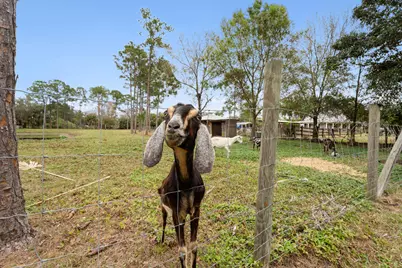 6347 SW Travers Street, Palm City, FL 34990 - Photo 39