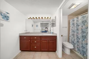 703 Chelsee Way, Lake Placid, FL 33852 - Photo 21