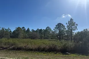 15942 NW 312th St, Okeechobee, FL 34972 - Photo 1