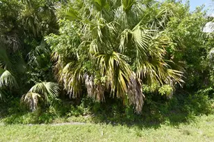 542 SW College Park Rd, Port Saint Lucie, FL 34953 - Photo 1