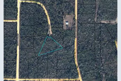 0 Andrew, Marianna, FL 32448 - Photo 1