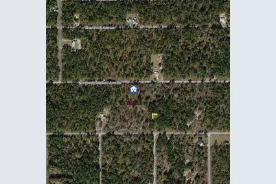 00000 NW Mallard Avenue, Dunnellon, FL 34431 - Photo 1