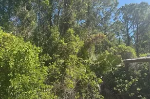 0 Golden Shores Blvd, Mims, FL - Photo 1
