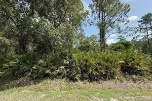 132 Millican Rd, Palatka, FL 32177 - Photo 1