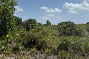 20862 NW 262nd St, Okeechobee, FL 34972 - Photo 1