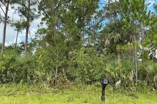 270 Mardi Gras, Palm Bay, FL 32907 - Photo 1