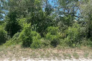 1801 N Croton Rd, Avon Park, FL 33825 - Photo 1