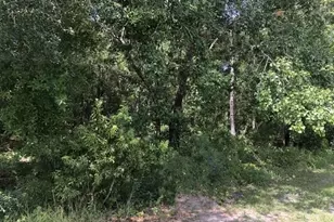 2345 N Yucca Rd, Avon Park, FL 33825 - Photo 1