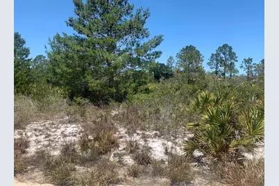 2918 W Gaffney Road, Avon Park, FL 33825 - Photo 1