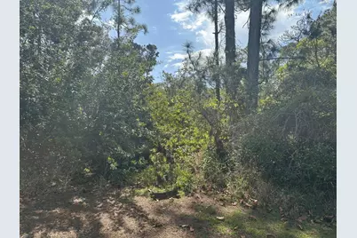 229 Caswell Lane, Lake Placid, FL 33852 - Photo 1