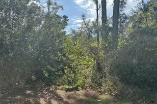 229 Caswell Ln, Lake Placid, FL 33852 - Photo 1