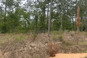 0 Akron St, Interlachen, FL 32148 - Photo 1