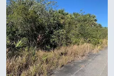 0 SW Ginryo Road, Palm Bay, FL 32908 - Photo 1