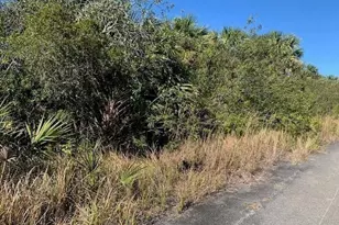 0 SW Ginryo Rd, Palm Bay, FL 32908 - Photo 1