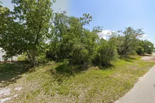 249 Grape Rd, Lake Placid, FL 33852 - Photo 1