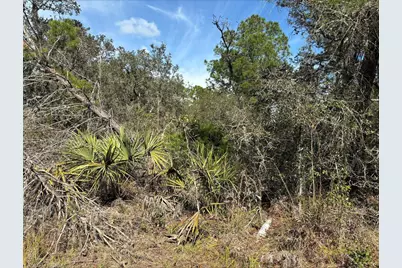 0 Jackson Street, Lake Wales, FL 33898 - Photo 1
