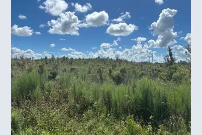 16072 NW 304th Street, Okeechobee, FL 34972 - Photo 1