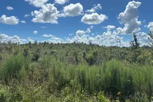 16072 NW 304th St, Okeechobee, FL 34972 - Photo 1