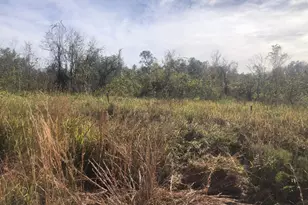 0 Polk City Rd, Polk City, FL 33868 - Photo 1