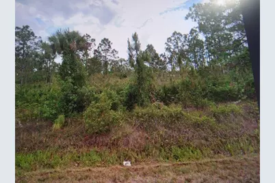 817 State Avenue, Lehigh Acres, FL 33972 - Photo 1