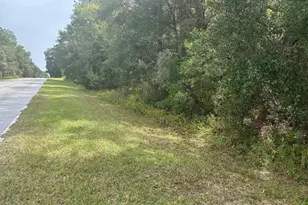 0 SW 54th St, Dunnellon, FL 34431 - Photo 1