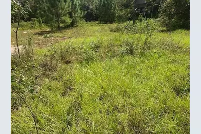 0 Old Grade Road, Polk City, FL 33868 - Photo 1