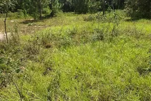 0 Old Grade Rd, Polk City, FL 33868 - Photo 1