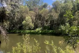 0 US Hwy 17, Wauchula, FL 33873 - Photo 1