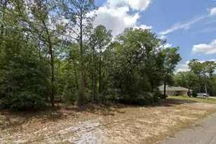 9618 N Sherman Dr, Citrus Springs, FL 34434 - Photo 1