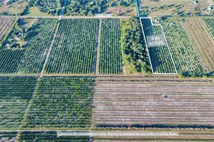 2413 Hicks Rd, Lorida, FL 33857 - Photo 1