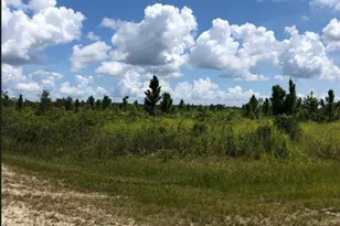 0 Calliandra Dr, Indian Lake Estates, FL - Photo 1