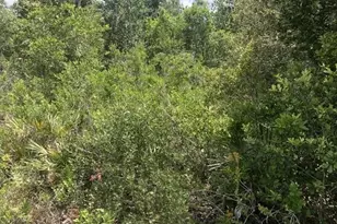 0 Xeriscape Nursery Rd, Frostproof, FL 33898 - Photo 1