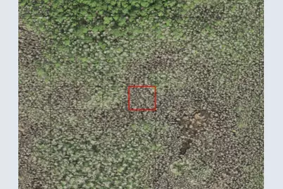 0 Holopaw Groves Road, Saint Cloud, FL 34772 - Photo 1