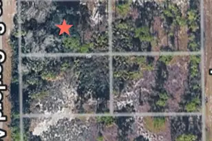 811 Gaylord Ave, Lehigh Acres, FL 33974 - Photo 1