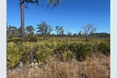 0 Xeriscape Nursery Road, Frostproof, FL 33843 - Photo 1