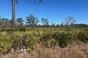 0 Xeriscape Nursery Rd, Frostproof, FL 33843 - Photo 1