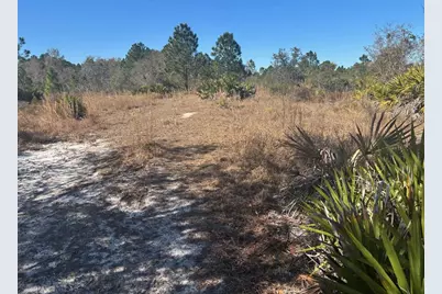 0 Xeriscape Nursery Road, Frostproof, FL 33898 - Photo 1