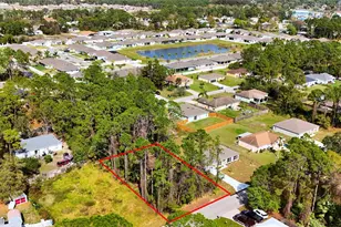 1287 Schayler St, Palm Bay, FL 32908 - Photo 1