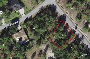 4 Heuchera Ct E, Homosassa, FL 34446 - Photo 1