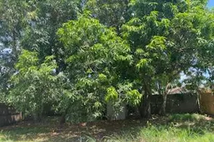 5793 Lime Rd, West Palm Beach, FL 33413 - Photo 1