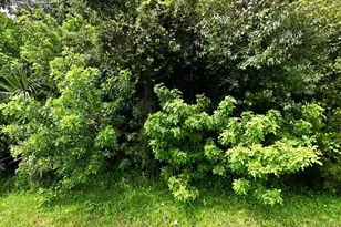 00 Maravilla Blvd, Fort Pierce, FL 34982 - Photo 1