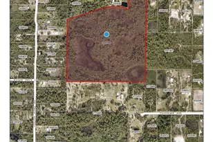 000 Ponderosa Ave, Deland, FL 32720 - Photo 1