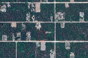 00 SW 80th St, Dunnellon, FL 34432 - Photo 1