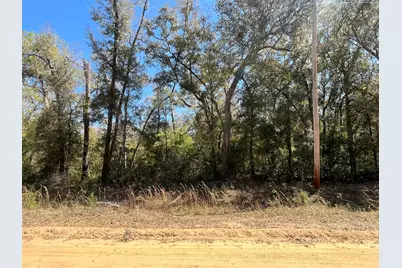 Tbd Walker Drive, Interlachen, FL 32148 - Photo 1
