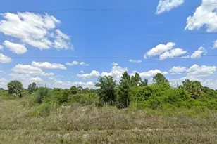 757 Alamo St E Street E, Lehigh Acres, FL 33974 - Photo 1