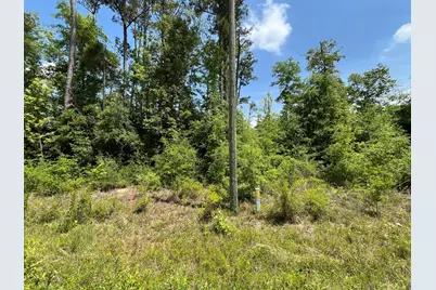 Tbd Magnolia Lane, Marianna, FL 32448 - Photo 1