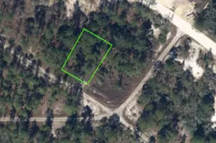 499 Devotion Dr, Lake Placid, FL 33852 - Photo 1