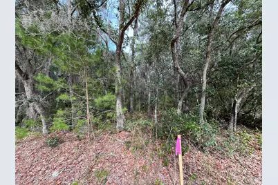 304 Gloria Avenue, Interlachen, FL 32148 - Photo 1